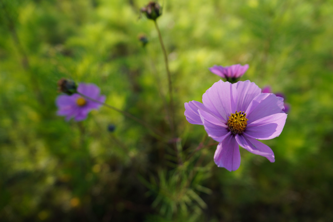 1/500 s, f/2.8, ISO 100, 16.0 mm