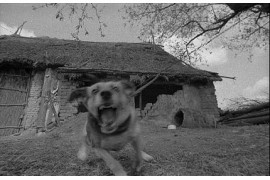 fot. Romuald Zielazek, Niezwyciężony, 1979 r. (fragment),
 Muzeum Historii Fotografii w Krakowie