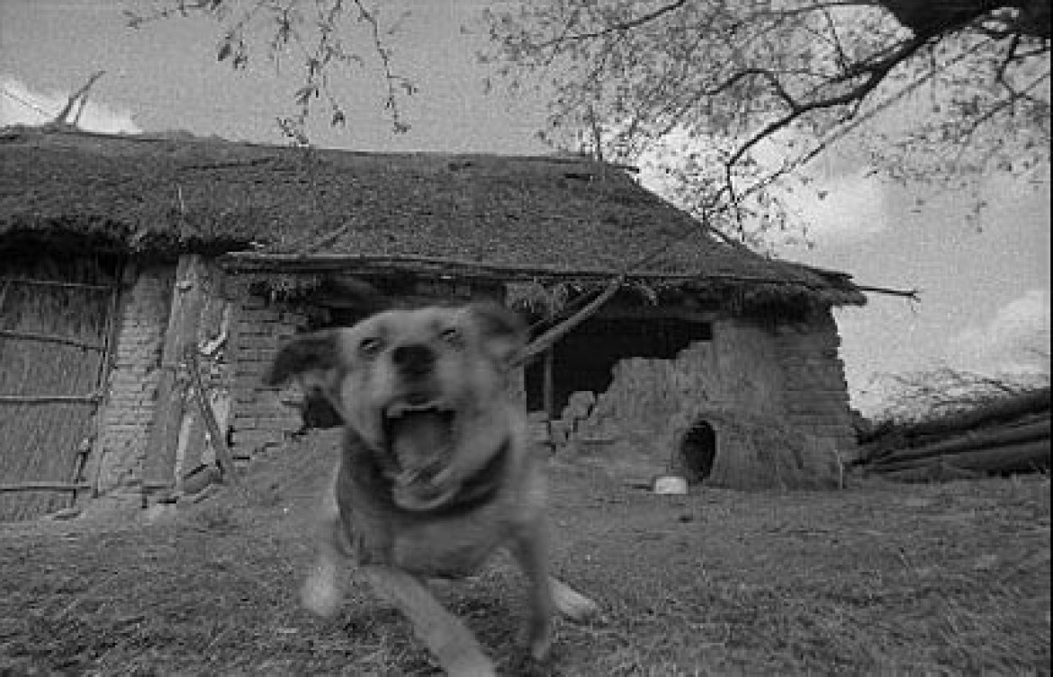 fot. Romuald Zielazek, Niezwyciężony, 1979 r. (fragment),
 Muzeum Historii Fotografii w Krakowie