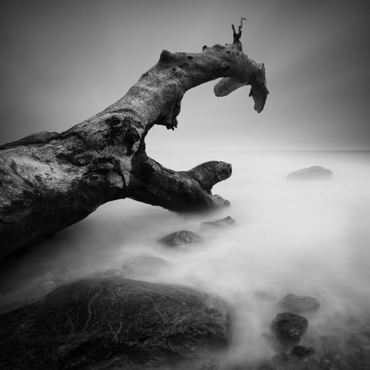 fot. Daniel Rericha