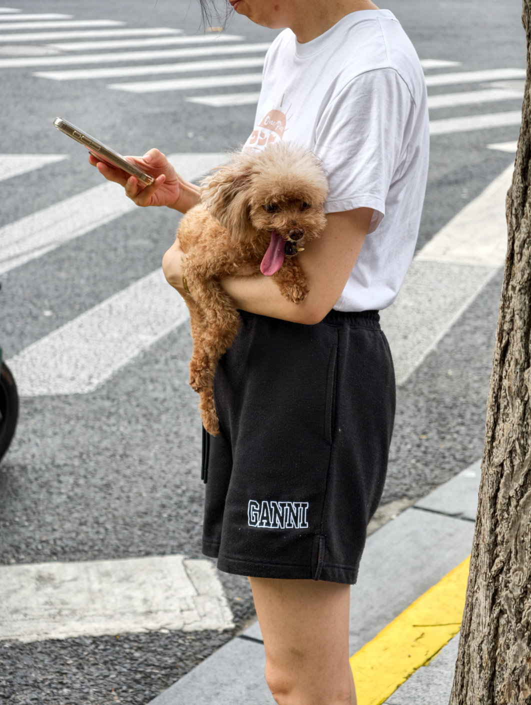 1/100 s, f/2.7, ISO 329, 22.5 mm
