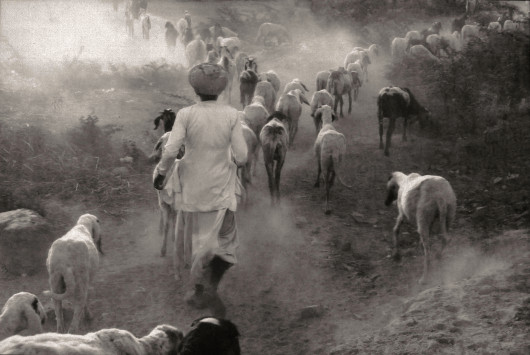 fot. Ricky Tomar