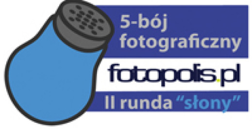 5-bój fotopolis.pl, runda II: Słony