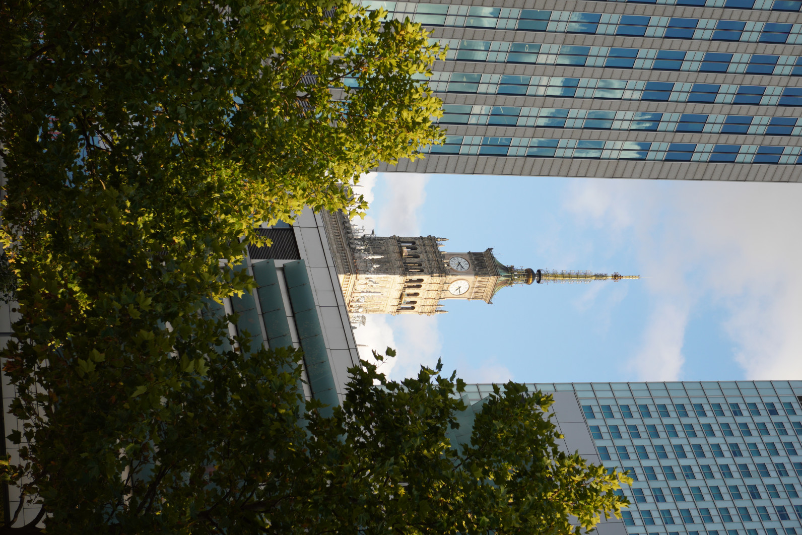 1/125 s, f/6.3, ISO 100, 50.0 mm