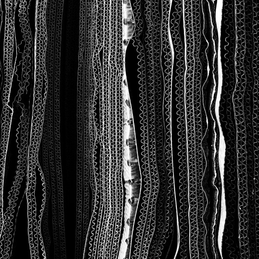 Glenn Homann, I miejsce w kategorii Abstract