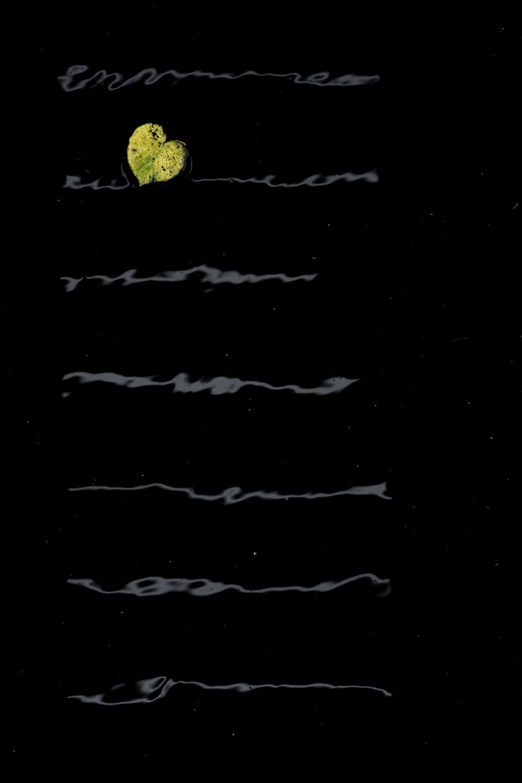 Fot. Alex Pansier, "Love Poem", 2. miejsce w kat. Plants / 7. Close-up Photographer of the Year