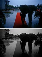 Jak lepiej fotografować - dlaczego fotografia kolorowa, a nie czarno-biała?