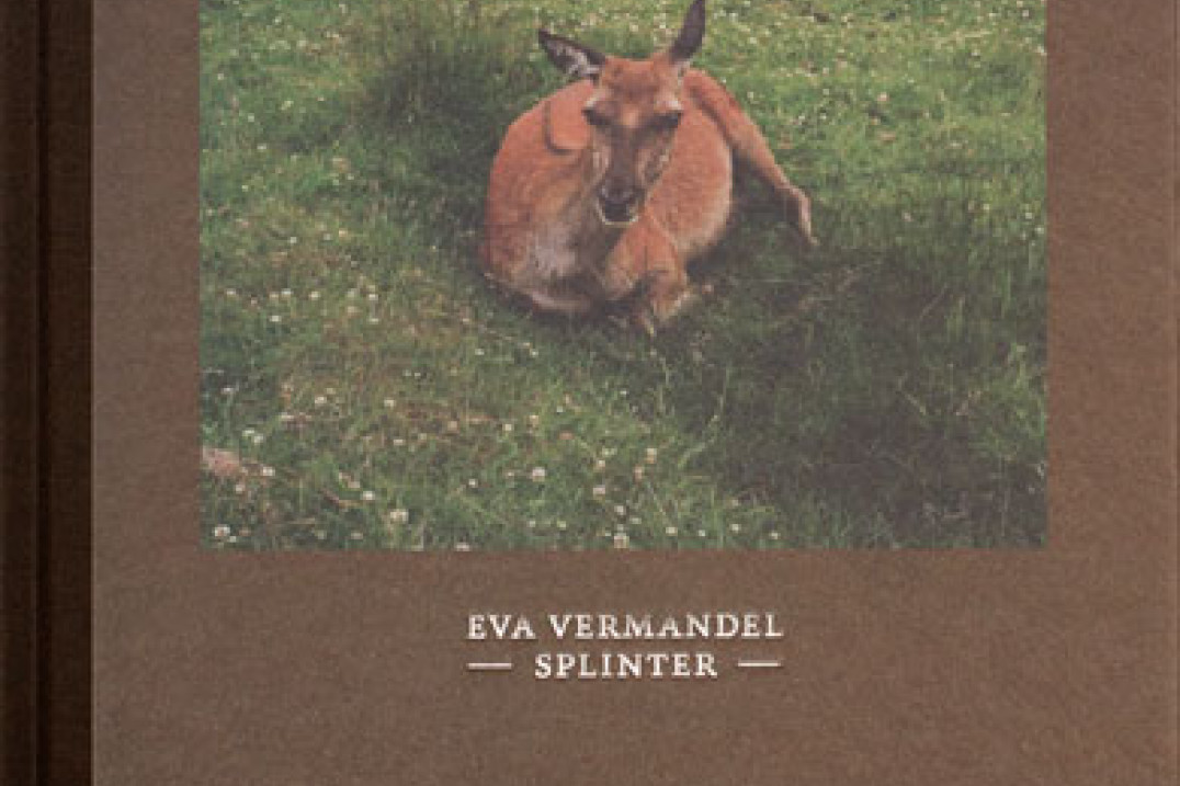 Eva Vermandel "Splinter" - recenzja