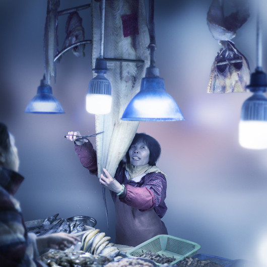 Alexis Goodwin, „fish scissor“ z cyklu „Shanghai Dreams“