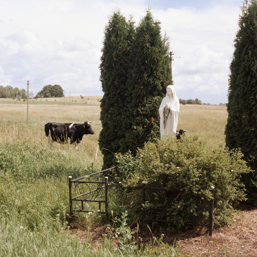 fot. Tadas Kazakevicius, z projektu Soon To Be Gone