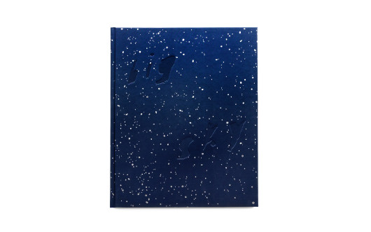Adam Ferguson, Big Sky