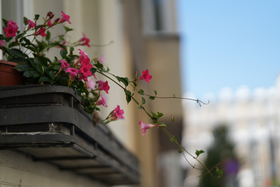 1/4000 s, f/1.4, ISO 100, 85 mm