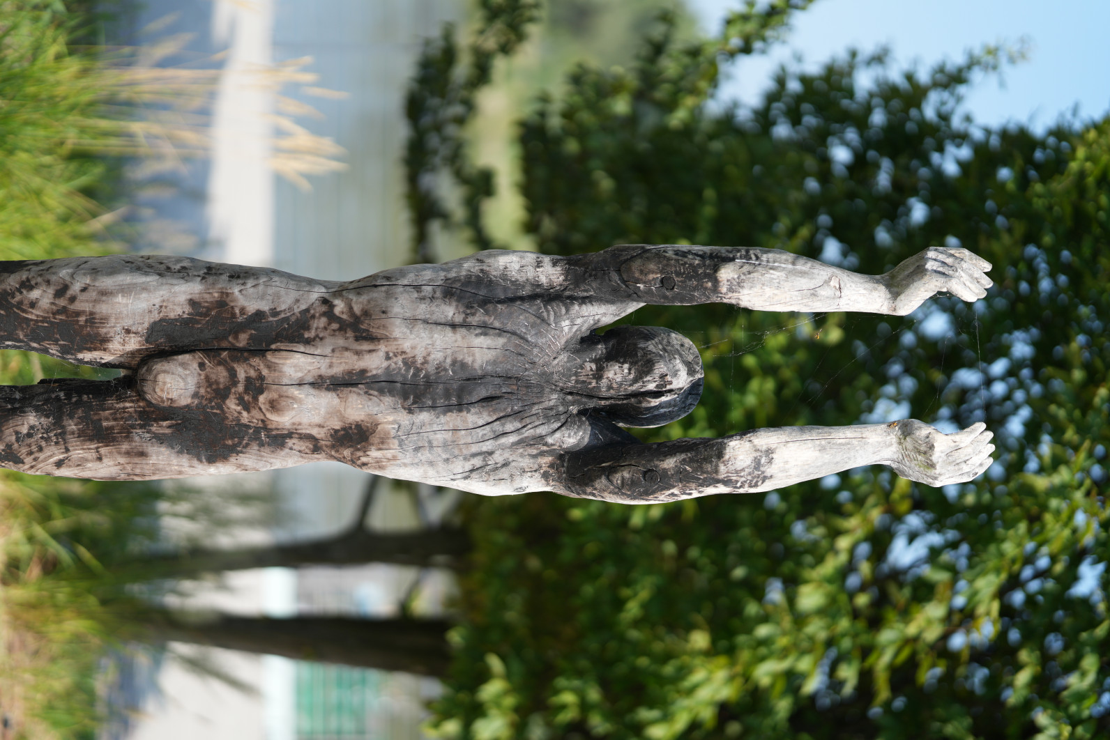 1/3200 s, f/1.4, ISO 100, 85 mm