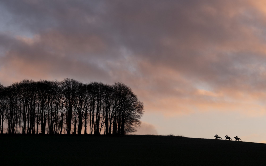 fot. Edward Whitaker - Winter in Lambourn. Pierwsze miejsce w kategorii Jazda konna. World Sports Photography Awards 2024