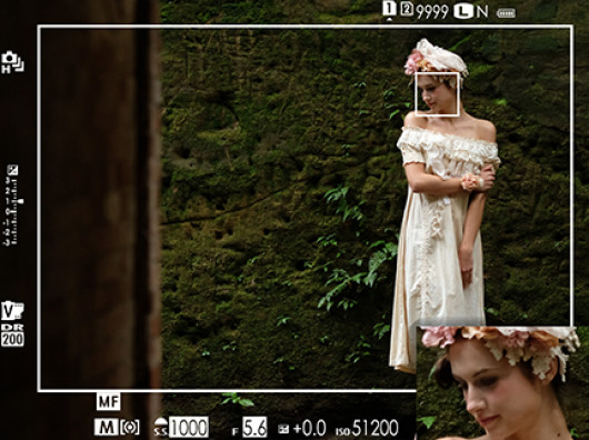 Fujifilm X-Pro2 - niektóre z informacji wyświetlanych w wizjerze optycznym