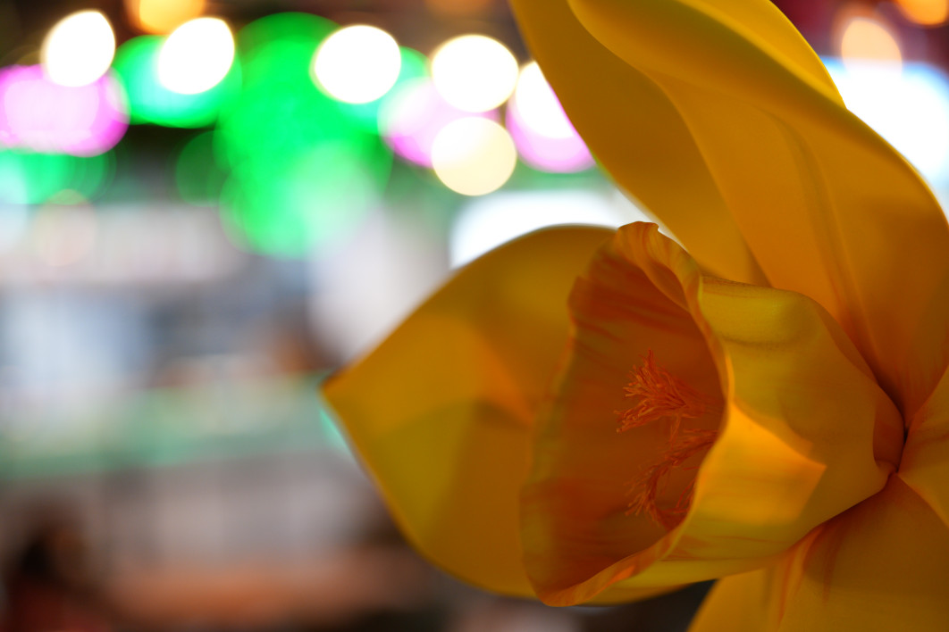 1/125 s, f/1.4, ISO 640, 85 mm