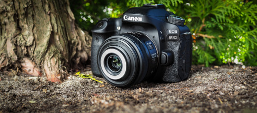 Canon EF-S 35 mm f/2.8 Macro IS STM - test obiektywu