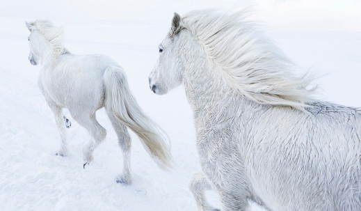 Inspiracja na dziś: Drew Doggett - „In the Realm of Legends"