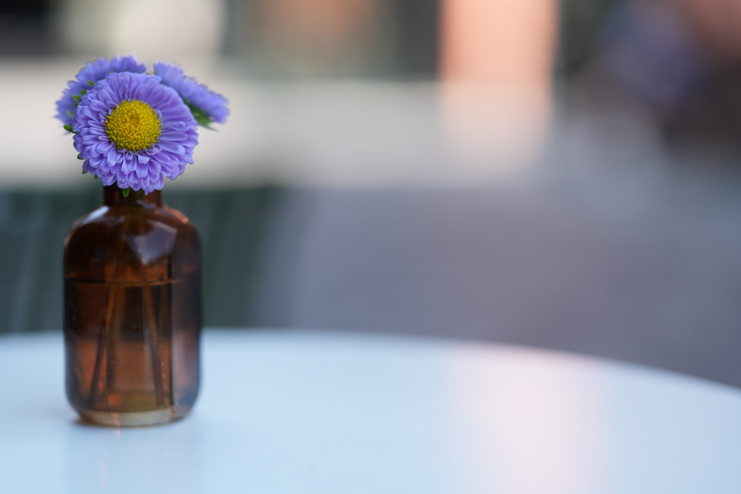 1/800 s, f/1.4, ISO 100, 85 mm