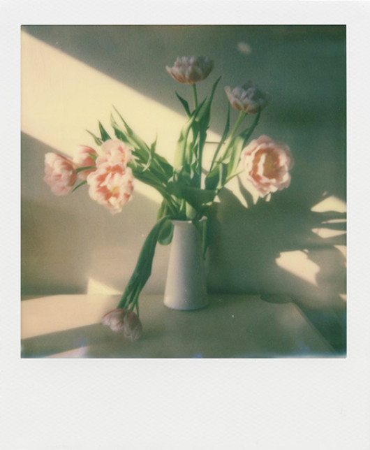 Impossible Project I-1