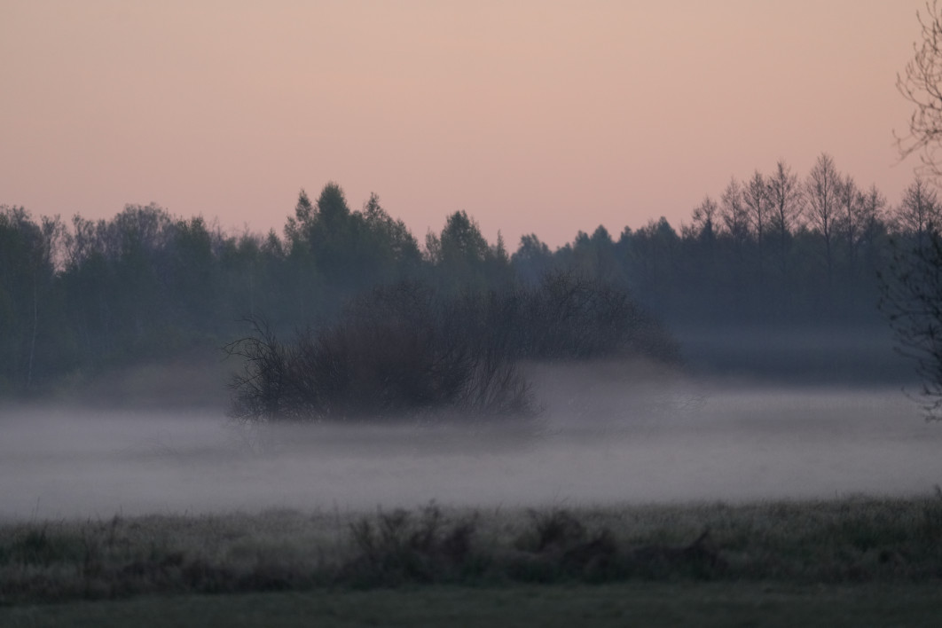 1/500 s, f/4.5, ISO 1000, 400.0 mm