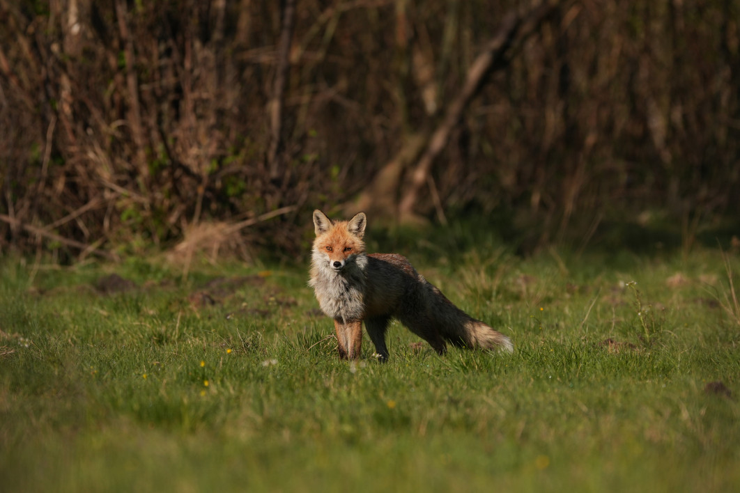 1/2500 s, f/5.6, ISO 400, 400.0 mm, crop APS-C