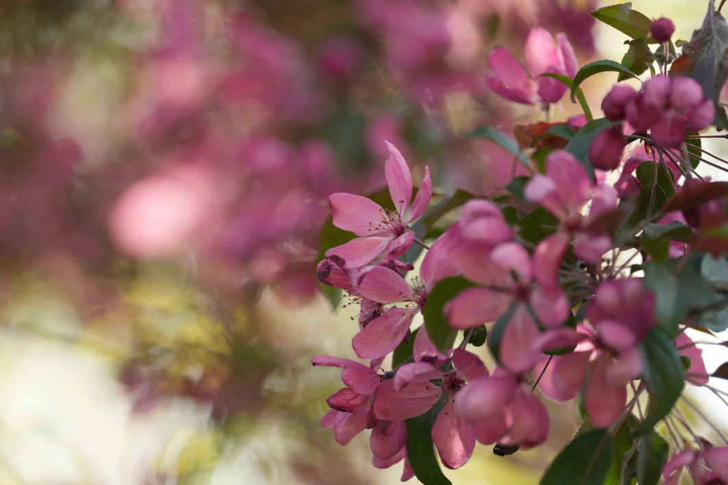 1/200 s, f/4.5, ISO 400, 400.0 mm