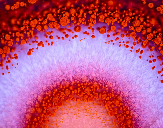 fot. Randy Fullbright, 1. nagroda w profesjonalnej kategorii Abstract / Fine Art Photography Awards 2020
