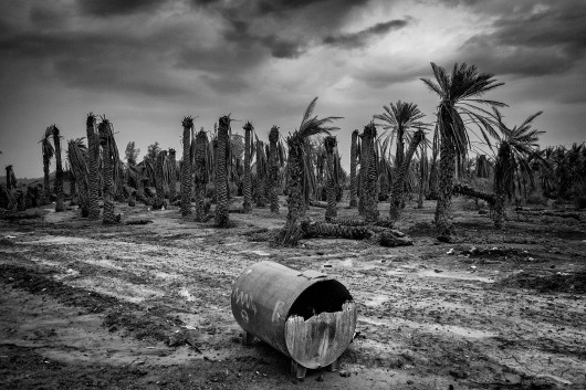 fot. Mohammad Baghal Asghari, z projektu Forgotten Dried Land