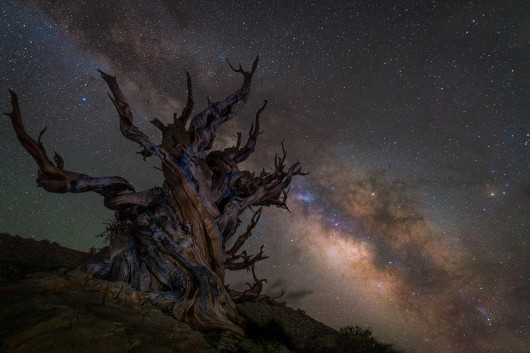 fot. Jez Hughes, Gurarding the Galaxy / Insight Investment Astronomy Photographer of the Year 2018