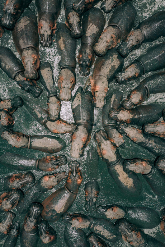 fot. Martin Sanchez, 1. miejsce w kategorii Nature, SkyPixel Aerial Photo & Video Contest 2018