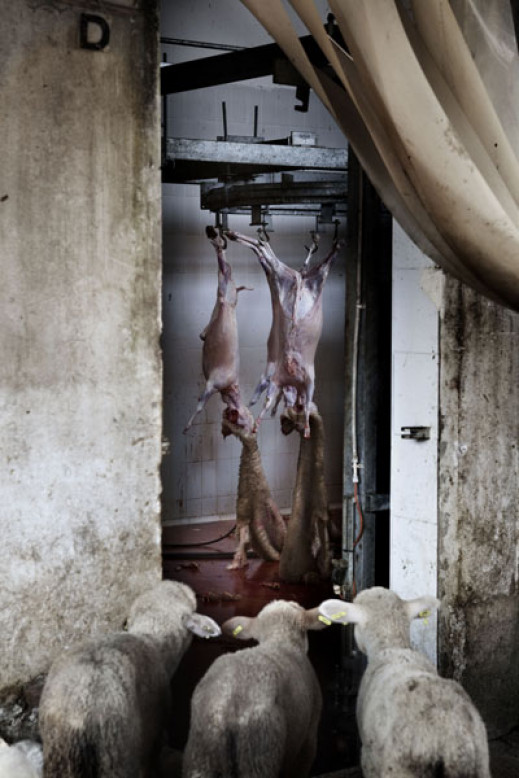 Sony World Photography Awards 2010 - zwycięzcy