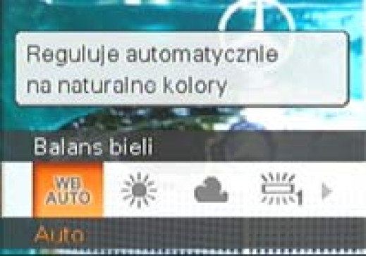 "Fotografowanie kompaktami" - poradnik dla zupełnie początkujących, część 4. - balans bieli, czułość, autofokus, stabilizacja - po co to wszystko?