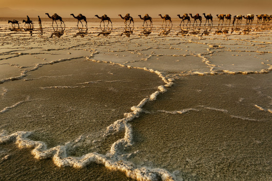 fot. Stefano Pensotti / Travel Photographer of the Year 2018