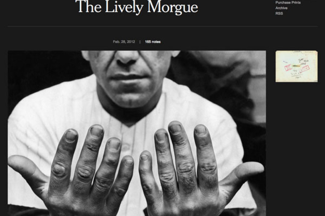 Blog z archiwum New York Timesa