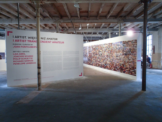 Fotofestiwal 2013 - relacja