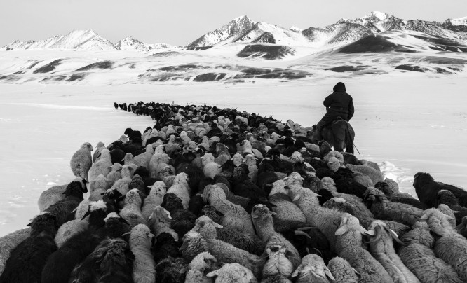  Poznaliśmy zwycięzców Sony World Photography Awards 2017. Zobaczcie nagrodzone prace