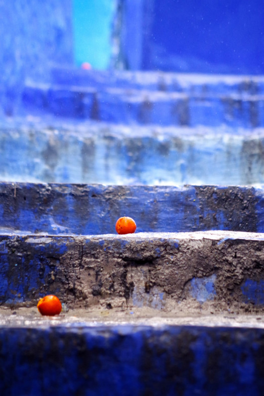 fot. Isabella Smith / Travel Photographer of the Year 2018