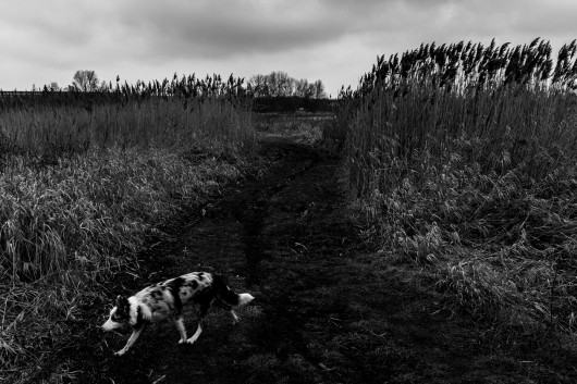 fot. Grzegorz Bukalski, I miejsce w kategorii reportażowej sekcji Young Poland. Krakowska Studencka Agencja Fotograficzna AGH. Żyjemy tu i teraz, a świat stoi przed nami otworem. Nigdy przemieszczanie się nie było tak proste jak dzisiaj. Wraz z moją partnerką i naszym psem podróżujemy z małym budżetem po Europie, używając naszego środka transportu również jako miejsca do spania. Z każdym wyjazdem wiązały się miejsca-cele, ale szybko się zorientowaliśmy, że droga jest celem samym w sobie. Norwegia, Włochy, Polska. Marzec–sierpień 2018