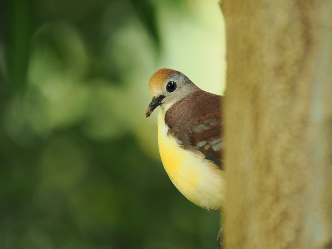 1/100 s, f/2.8, ISO 800, 200.0 mm