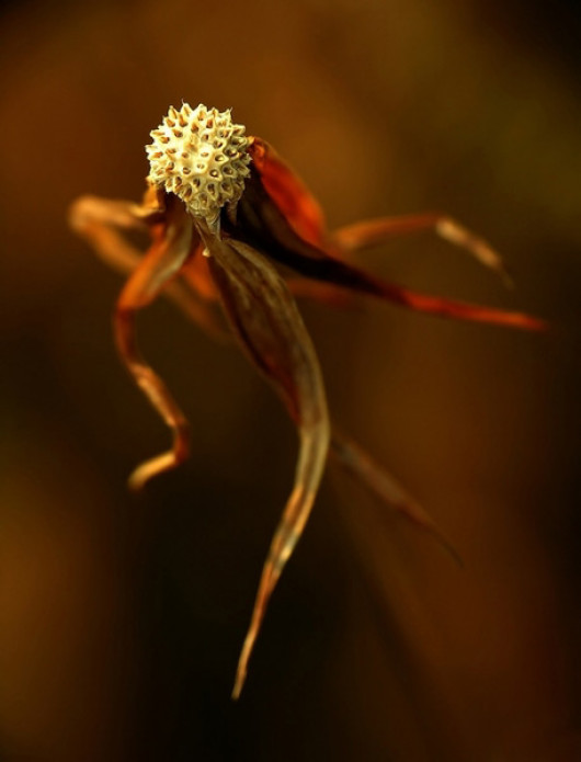 fot. Magdalena Wasiczek