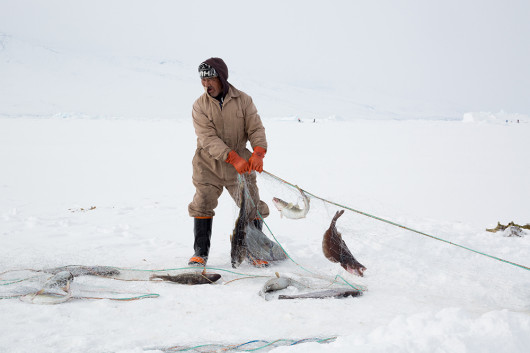 fot. Camille Michel, z projektu Uummannaq
