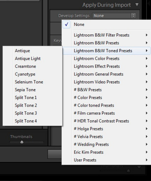 opcja Develop Settings – importowanie zdjęć z wcześniej wybranymi ustawieniami np. konwersja do monochromu