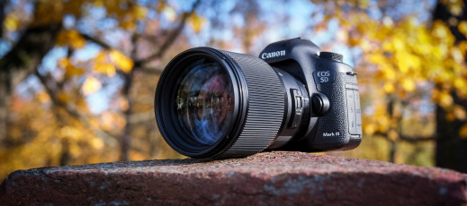 Sigma 85 mm f/1.4 DG HSM ART - test obiektywu