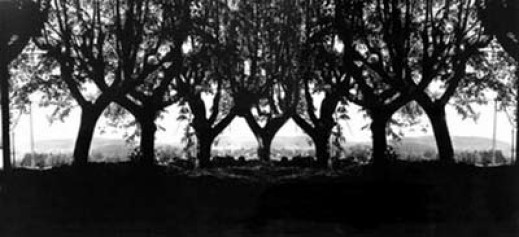 Zbigniew Grzegorski "Poszukiwania. Fotografie z lat 1941-2006"