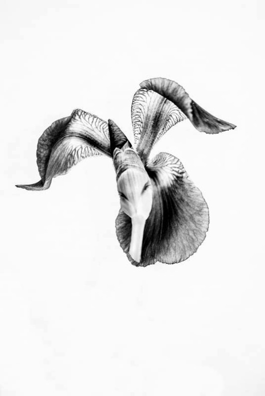 fot. Gabriela Szatan