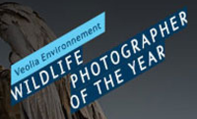  Konkurs Wildlife Photographer of the Year 2011