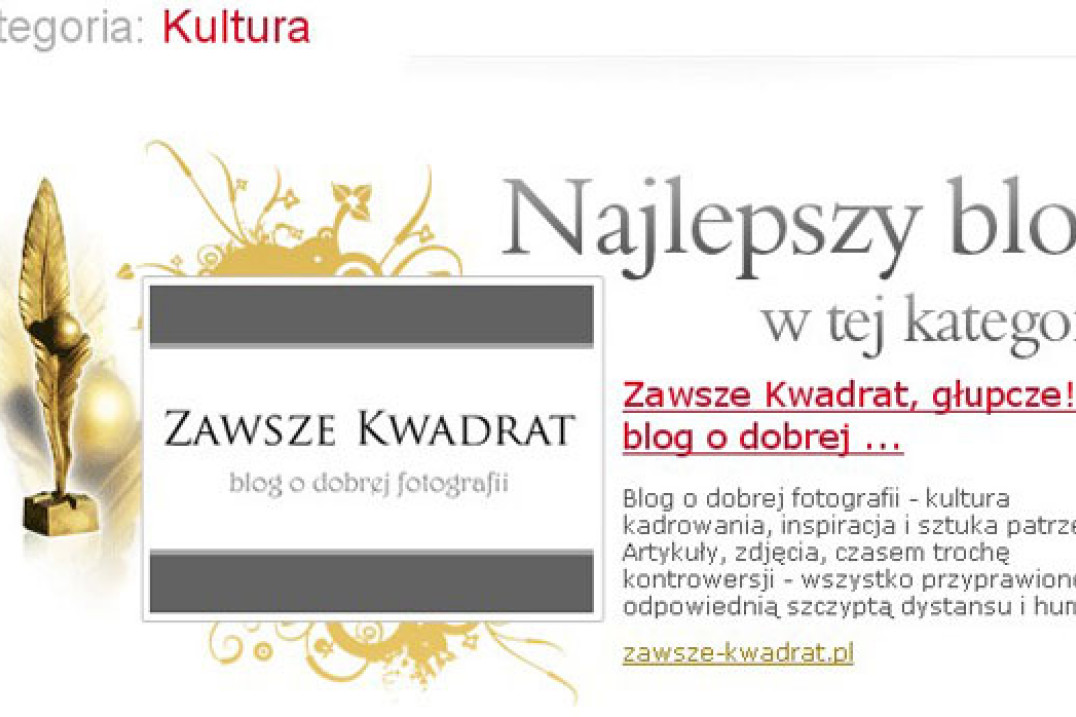 "Zawsze Kwadrat" najlepszym blogiem kulturalnym 2008 roku