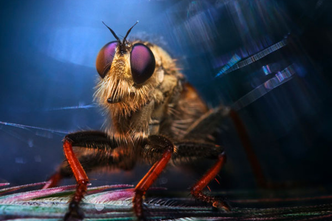 8. Wielki Konkurs Fotograficzny National Geographic Polska - wyniki