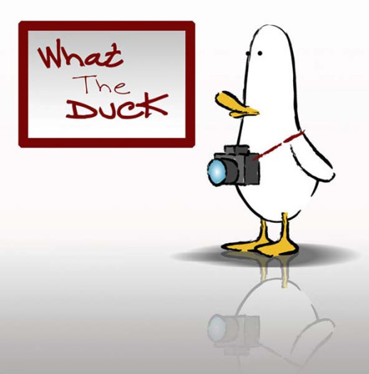 "What the Duck" - fotograficzny komiks w Fotopolis
